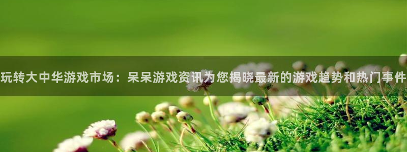 极悦娱乐怎么注册：玩转大中华游戏市场：呆呆游戏资讯为您揭晓最