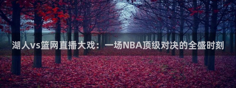 乐球直播免费观看直播在线：湖人vs篮网直播大戏：一场NBA顶级对决的全盛时刻