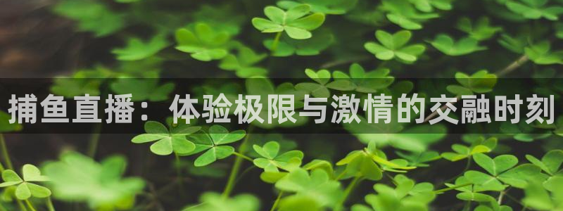 乐球直播免费观看高清版：捕鱼直播：体验极限与激情的交融时刻