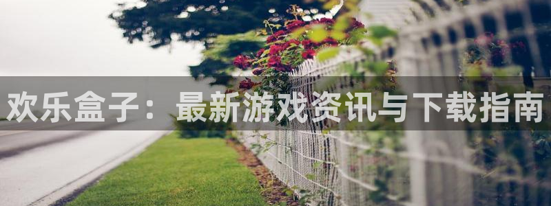 极悦娱乐无限可能：欢乐盒子：最新游戏资讯与下载指南
