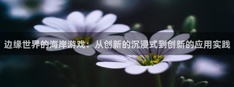 极悦娱乐原始股多少：边缘世界的海岸游戏：从创新的沉浸式到创新
