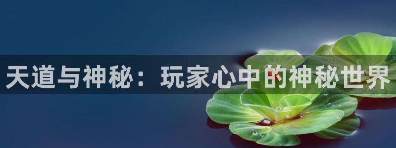极悦娱乐负责人怎么样：天道与神秘：玩家心中的神秘世界