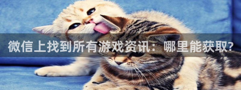 极悦娱乐咨询