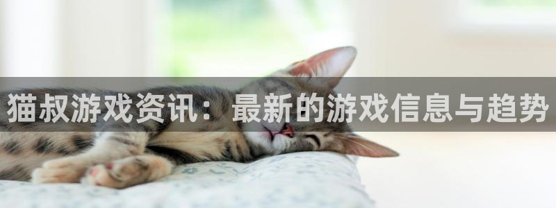 极悦娱乐是什么：猫叔游戏资讯：最新的游戏信息与趋势