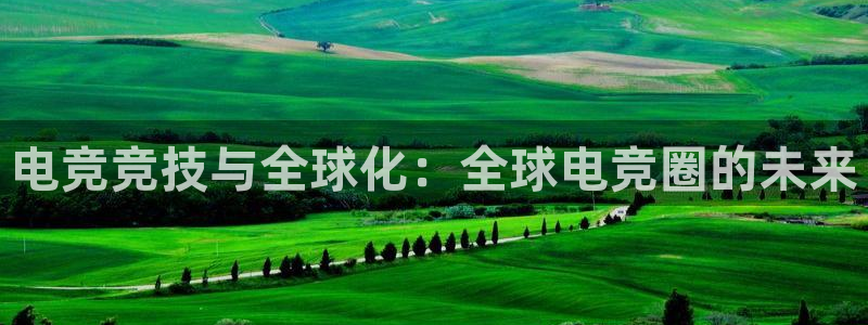 极悦娱乐平台：电竞竞技与全球化：全球电竞圈的未来