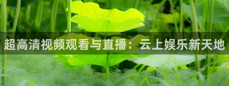 直播乐球：超高清视频观看与直播：云上娱乐新天地